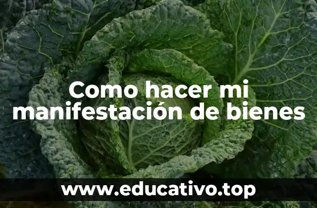 Como hacer mi manifestación de bienes