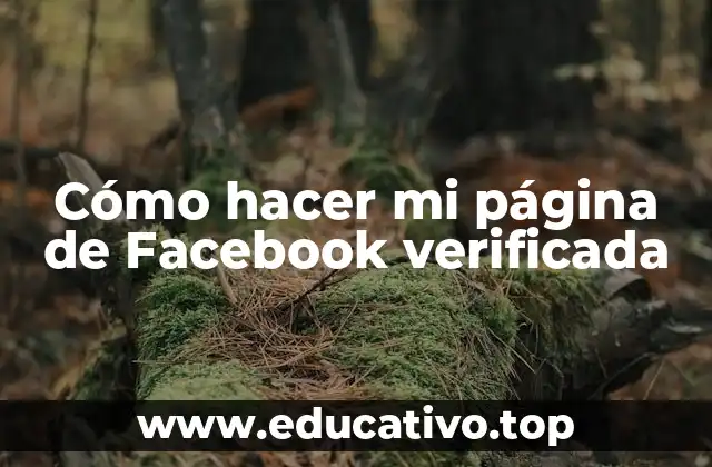 Cómo hacer mi página de Facebook verificada