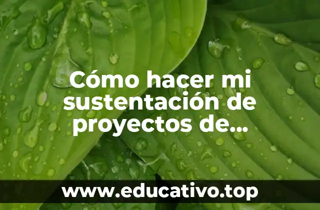 Cómo hacer mi sustentación de proyectos de investigación exitosa