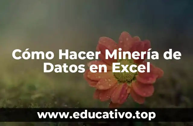 Cómo Hacer Minería de Datos en Excel