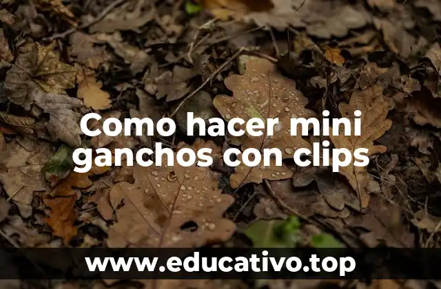 Como hacer mini ganchos con clips