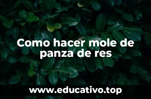 Como hacer mole de panza de res