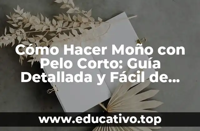 Cómo Hacer Moño con Pelo Corto: Guía Detallada y Fácil de Seguir