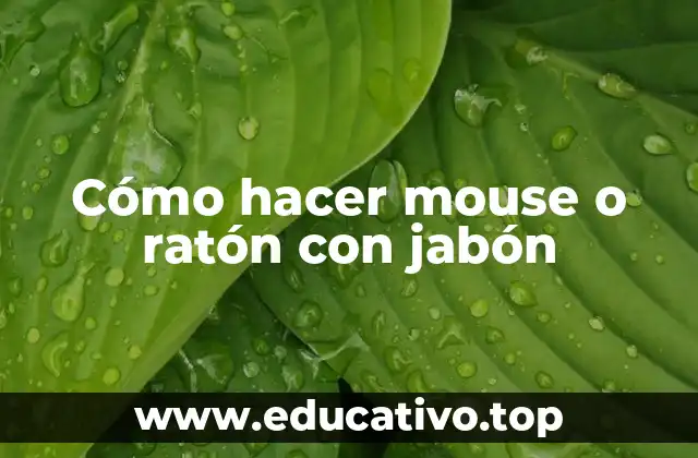 Cómo hacer mouse o ratón con jabón