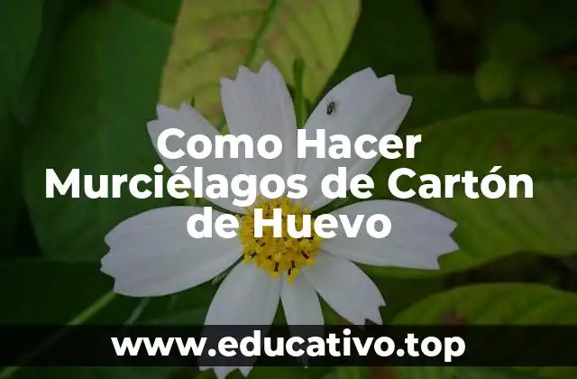 Como Hacer Murciélagos de Cartón de Huevo