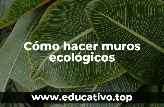 Cómo hacer muros ecológicos