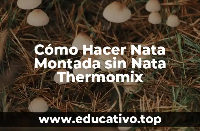 Cómo Hacer Nata Montada sin Nata Thermomix
