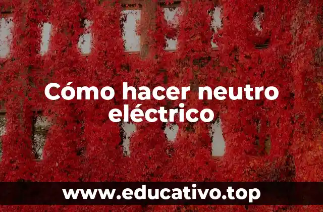 Cómo hacer neutro eléctrico