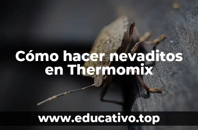 Cómo hacer nevaditos en Thermomix