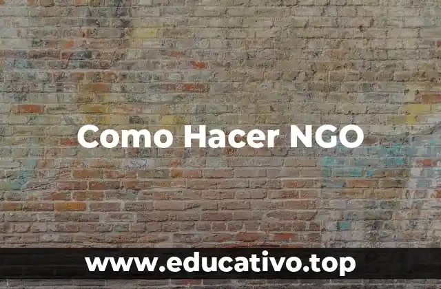Como Hacer NGO