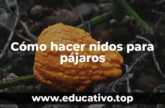 Cómo hacer nidos para pájaros