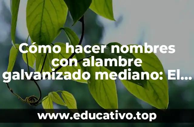 Cómo hacer nombres con alambre galvanizado mediano: El nombre Marcela