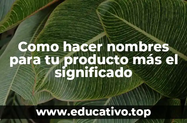 Como hacer nombres para tu producto más el significado