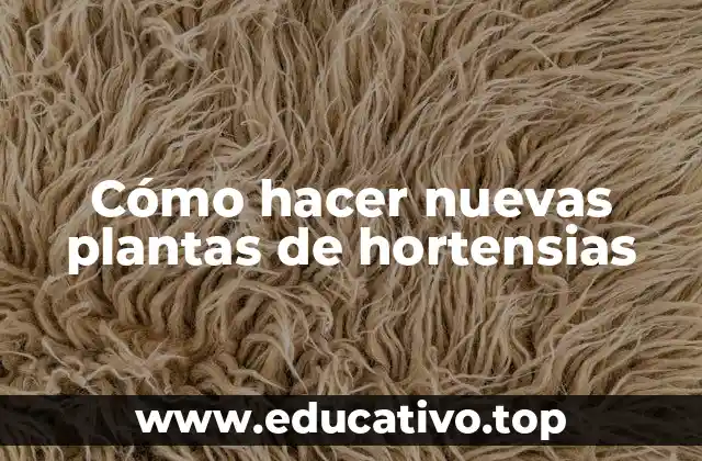 Cómo hacer nuevas plantas de hortensias