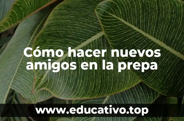Cómo hacer nuevos amigos en la prepa