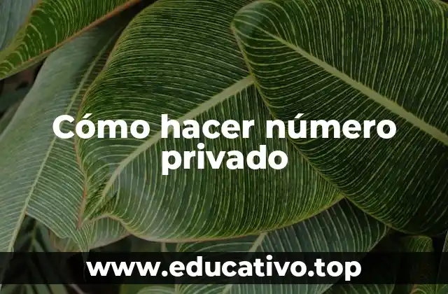 Cómo hacer número privado