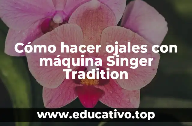 Cómo hacer ojales con máquina Singer Tradition