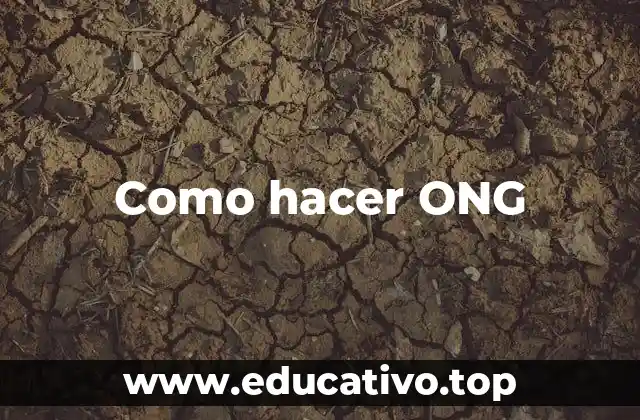 Como hacer ONG