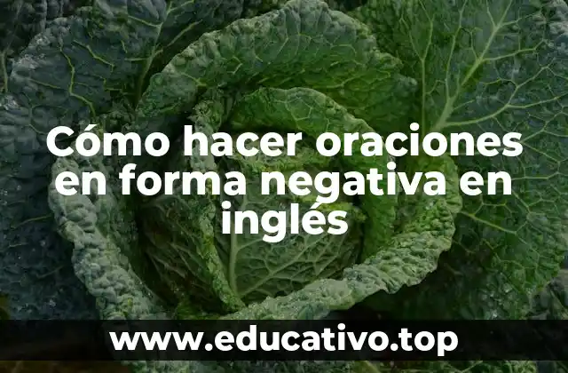 Cómo hacer oraciones en forma negativa en inglés