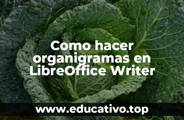 Como hacer organigramas en LibreOffice Writer