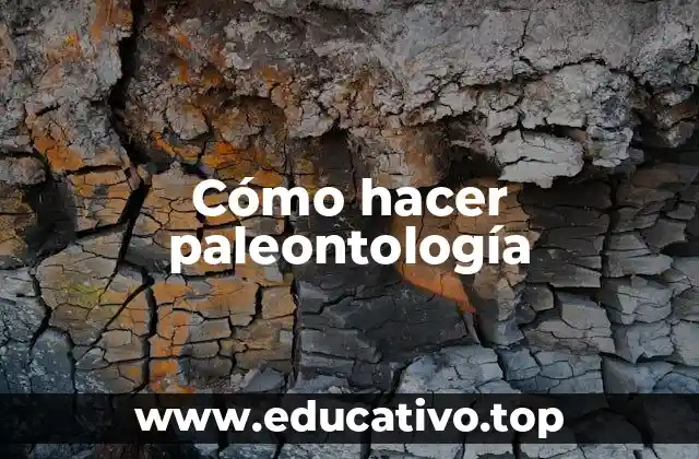 Cómo hacer paleontología