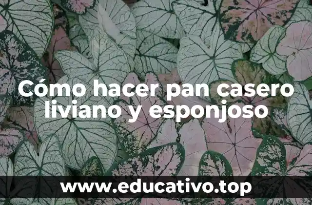 Cómo hacer pan casero liviano y esponjoso