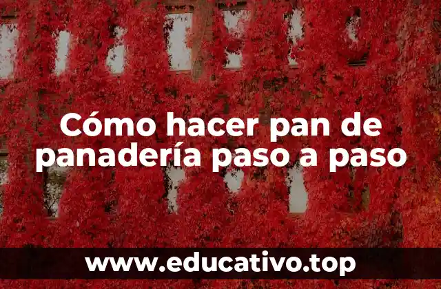 Cómo hacer pan de panadería paso a paso