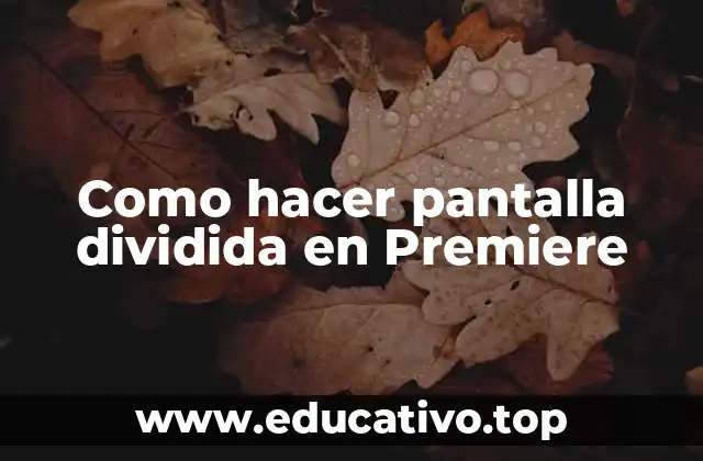 Como hacer pantalla dividida en Premiere