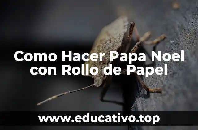 Como Hacer Papa Noel con Rollo de Papel