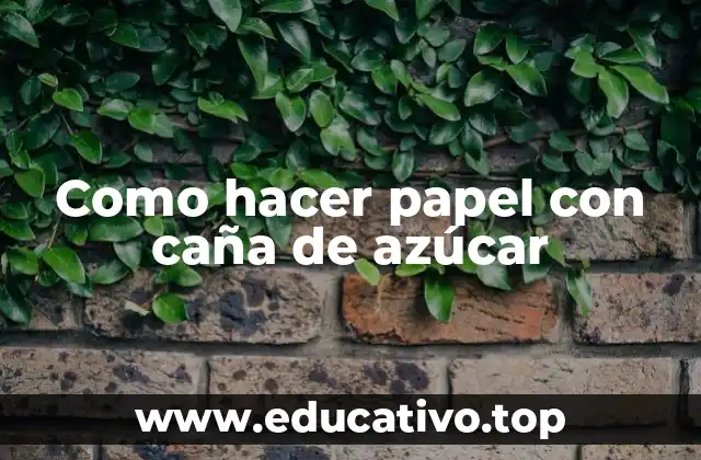 Como hacer papel con caña de azúcar