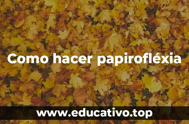 Como hacer papirofléxia