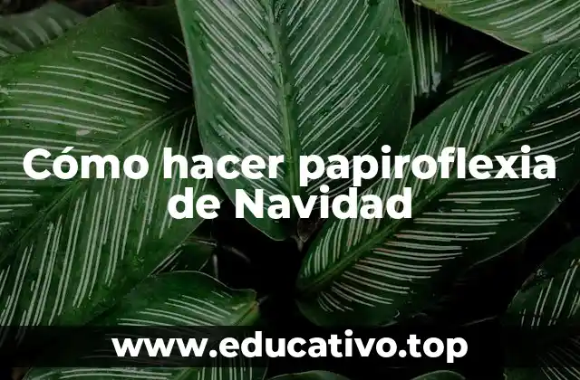 Cómo hacer papiroflexia de Navidad