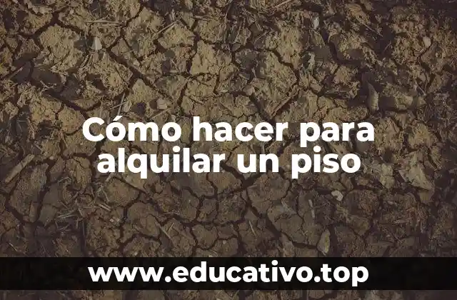 Cómo hacer para alquilar un piso