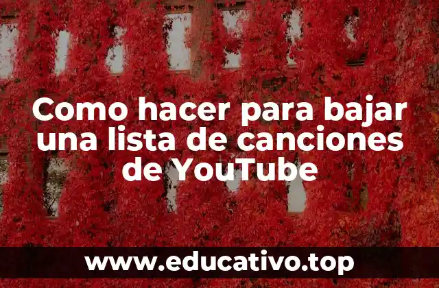 Como hacer para bajar una lista de canciones de YouTube