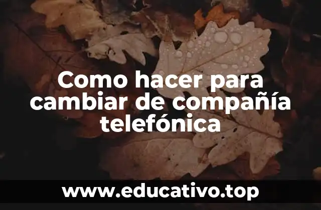 Como hacer para cambiar de compañía telefónica
