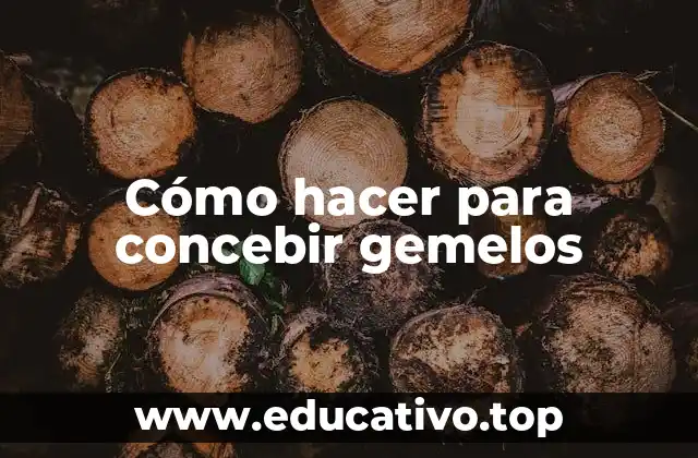 Cómo hacer para concebir gemelos