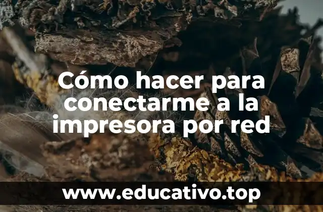 Cómo hacer para conectarme a la impresora por red