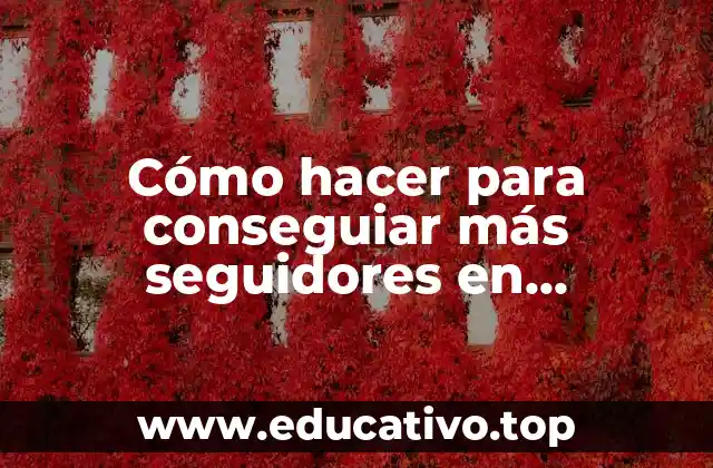 Cómo hacer para conseguiar más seguidores en Instagram