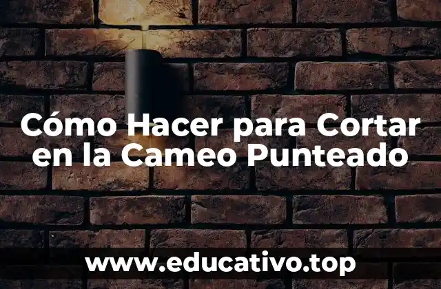Cómo Hacer para Cortar en la Cameo Punteado