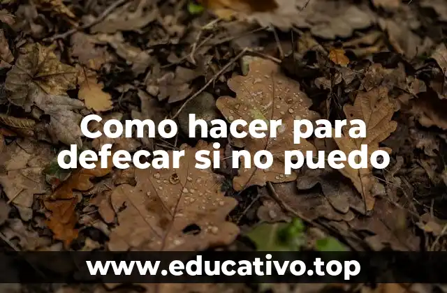 Como hacer para defecar si no puedo