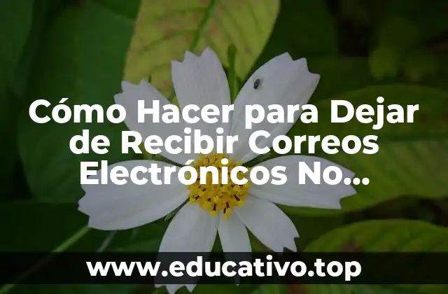 Cómo Hacer para Dejar de Recibir Correos Electrónicos No Deseados – Guía Completa