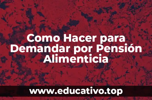 Como Hacer para Demandar por Pensión Alimenticia