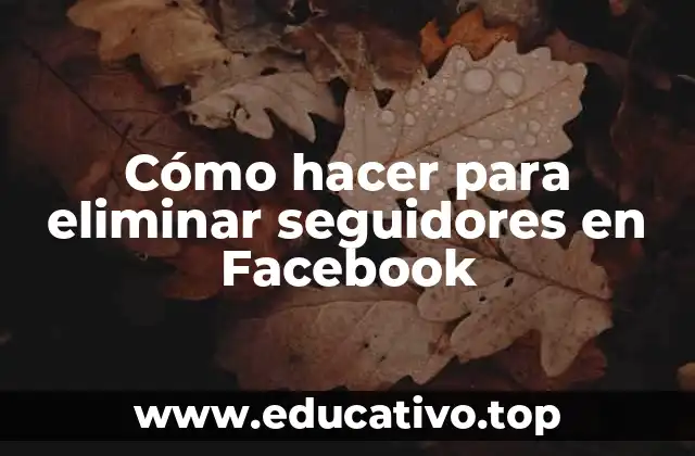 Cómo hacer para eliminar seguidores en Facebook