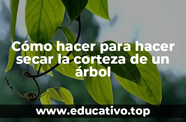 Cómo hacer para hacer secar la corteza de un árbol