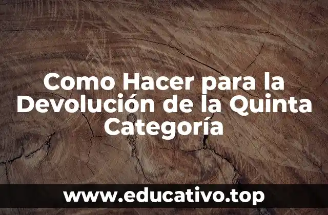 Como Hacer para la Devolución de la Quinta Categoría