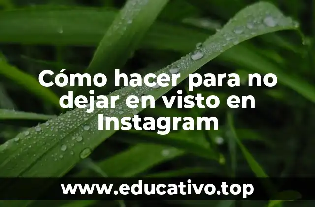 Cómo hacer para no dejar en visto en Instagram