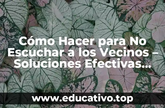 Identificar los Problemas de Ruido - Cómo los Vecinos pueden Afectar tu Calma