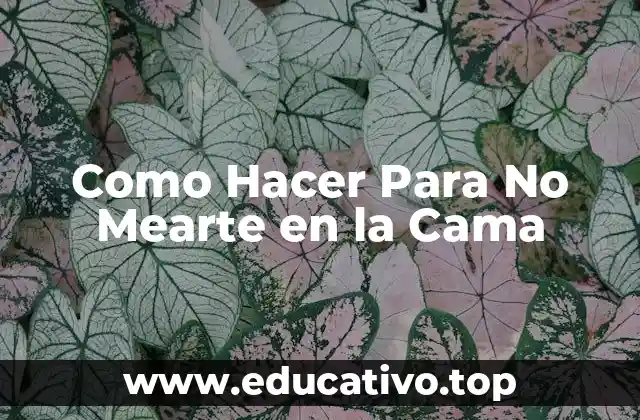 Como Hacer Para No Mearte en la Cama