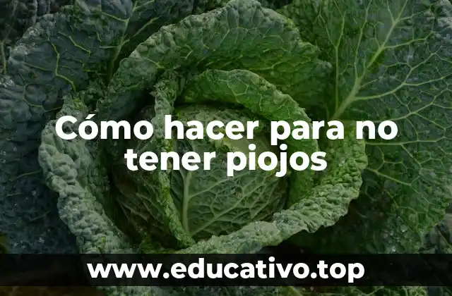 Cómo hacer para no tener piojos