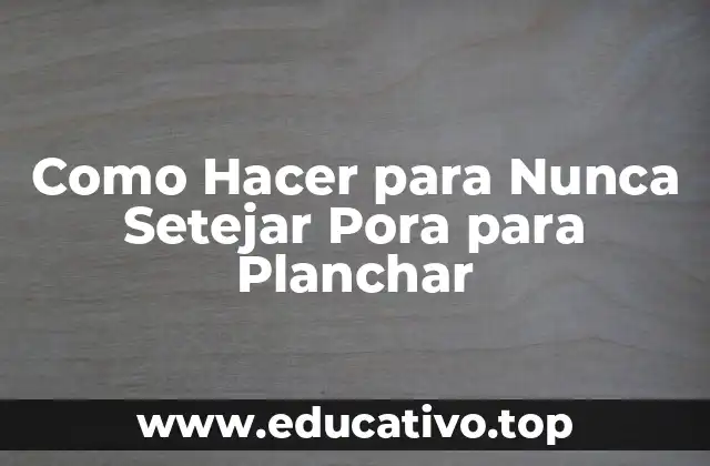 Como Hacer para Nunca Setejar Pora para Planchar